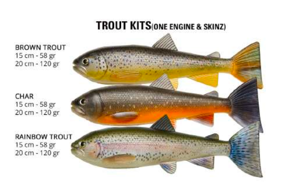 Trout kit 20cm