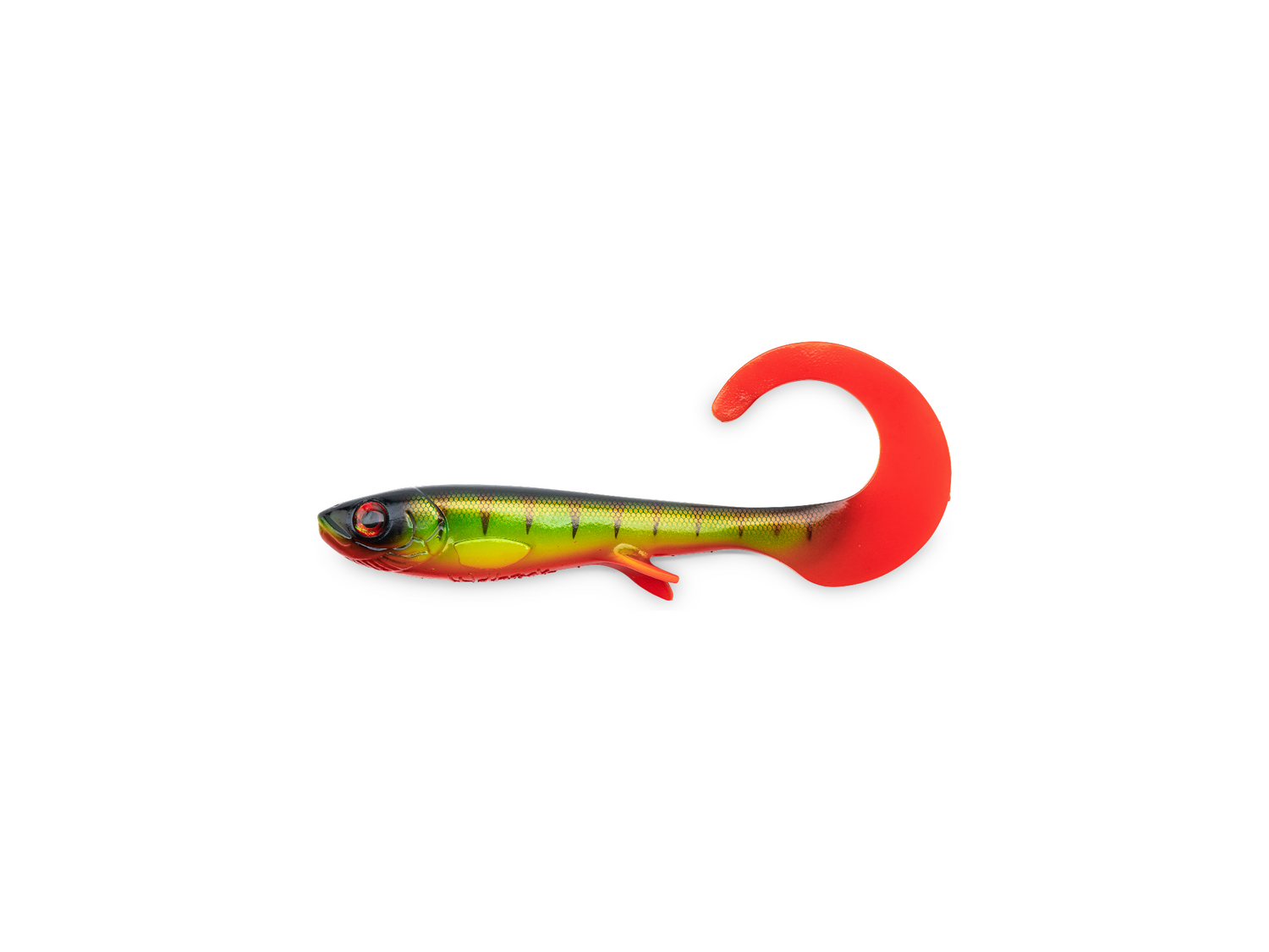 Wolfcreek Curly