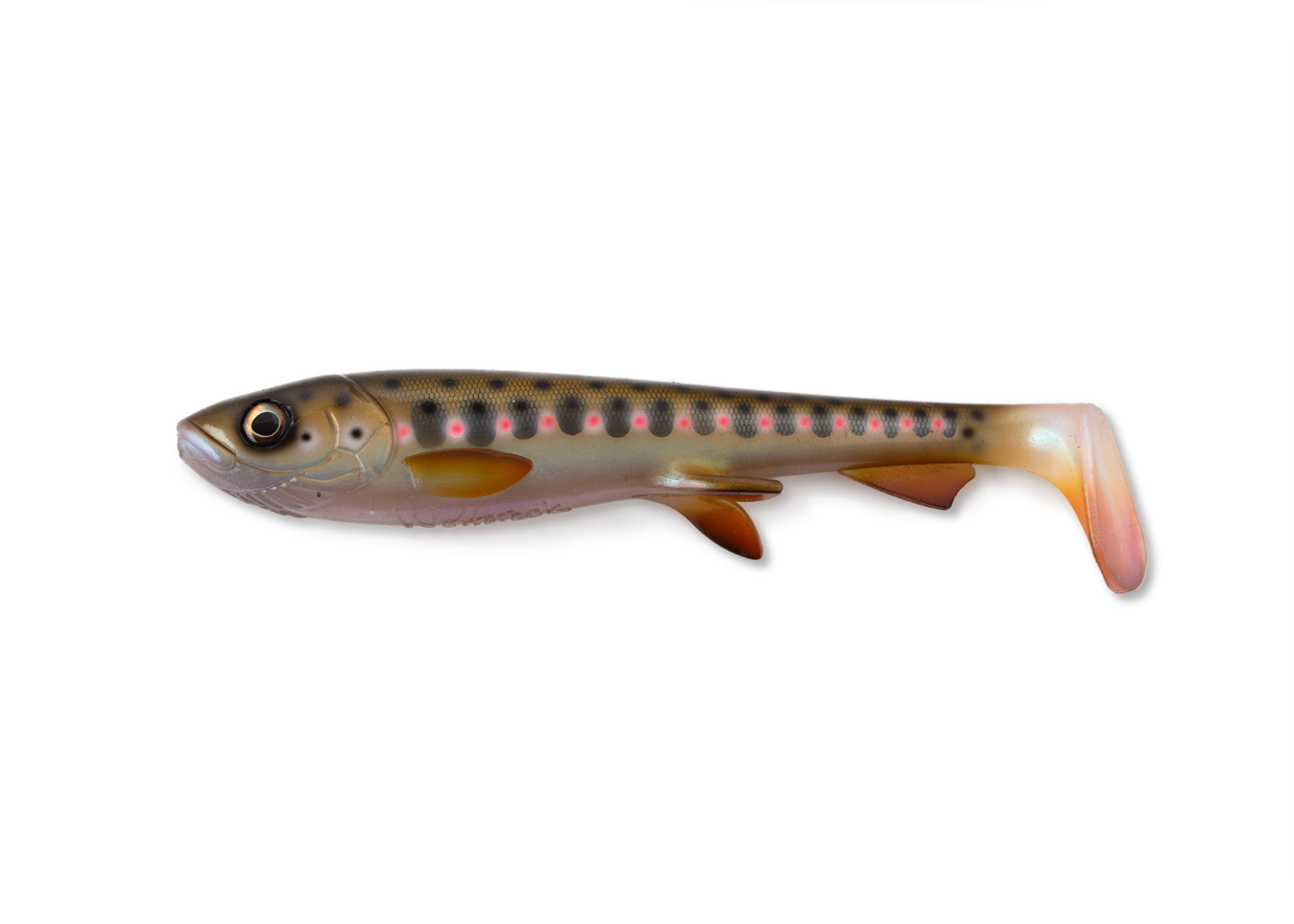 Wolfcreek Shad 30, 30cm, 220g